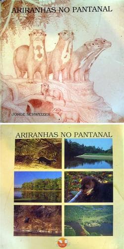 Ariranhas no Pantanal: ecologia e comportamento da Pteronura brasiliensis