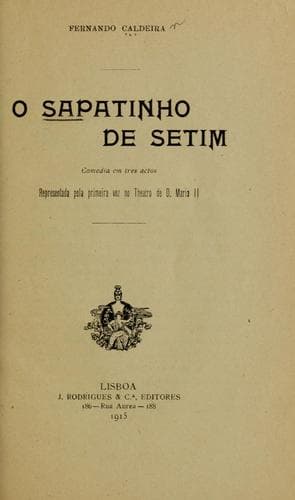 O sapatinho de setim