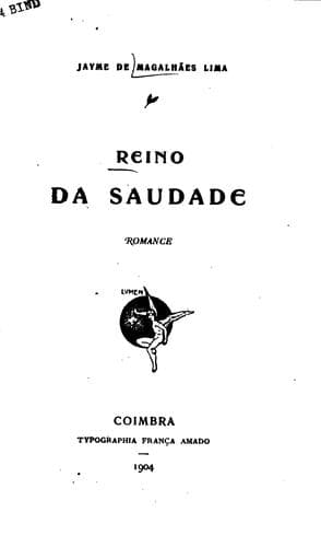 Reino da saudade: romance