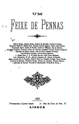 Um Feixe de pennas