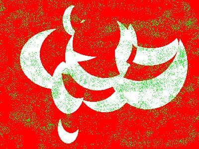 O encantador de palavras: poemas escolhidos de Manoel de Barros