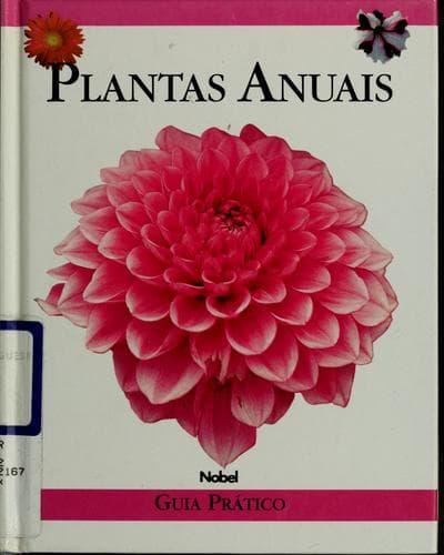 Plantas anuais: guia prático