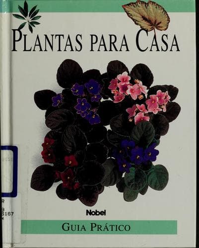 Plantas para casa: guia prático