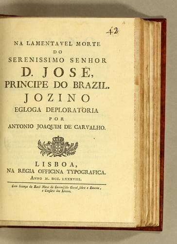 Na lamentavel morte do serenissimo senhor D. José, Principe do Brazil: Jozino egloga deploratoria