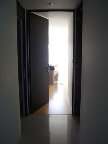 Arte contemporânea brasileira