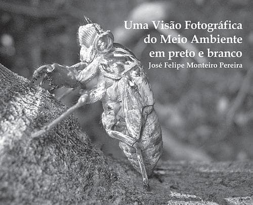 Uma Visão Fotográfica do Meio Ambiente em preto e branco