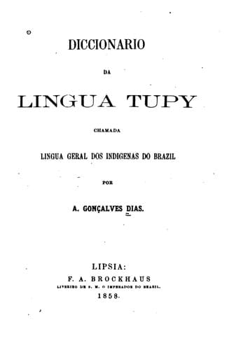 Diccionario da lingua tupy: chamada lingua geral dos indigenas do Brazil