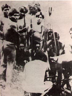 Indios e brancos no sul do Brasil: a dramática experiência dos xokleng