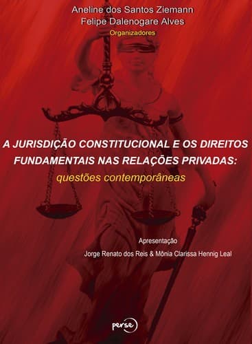A jurisdição constitucional e os direitos fundamentais nas relações privadas: questões contemporâneas