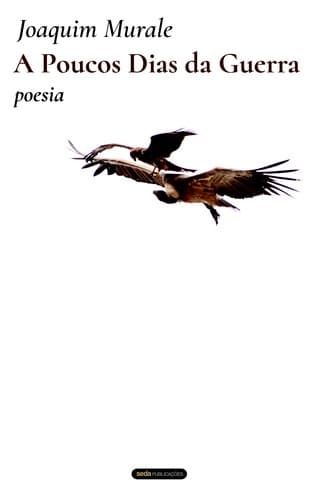 A Poucos Dias da Guerra