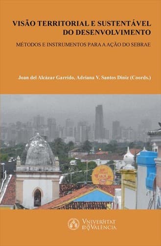 Visao territorial e sustentável do desenvolvimento: métodos e instrumentos para a açao do SEBRAE