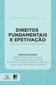 Direitos Fundamentais e Efetivação