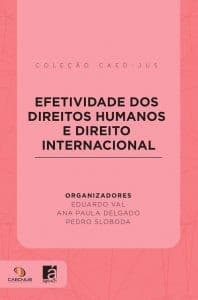 Efetividade dos Direitos Humanos e Direito Internacional