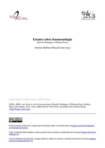 Ensaios sobre fenomenologia: Husserl, Heidegger e Merleau-Ponty