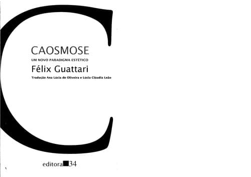 Caosmose: um novo paradigma estético