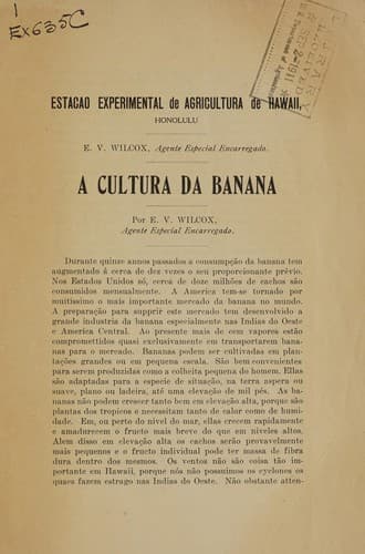 A cultura da banana