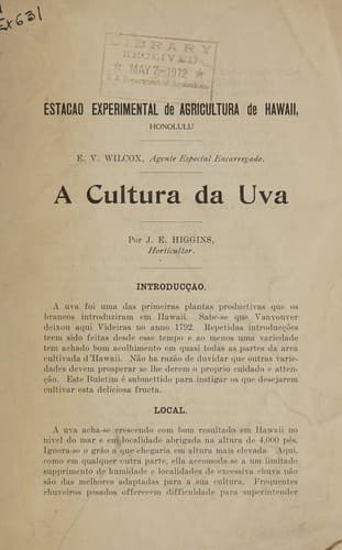 A cultura da uva