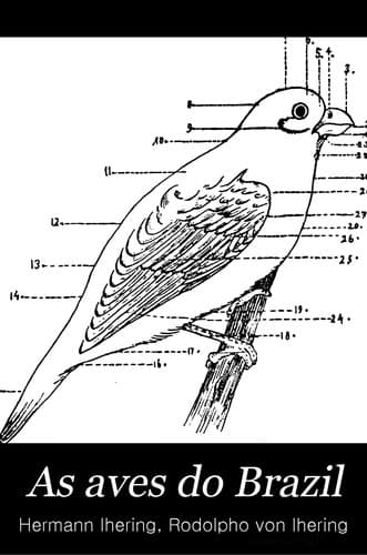 As aves do Brazil
