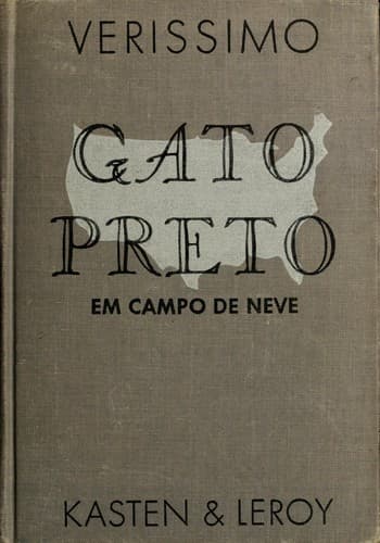 Gato preto em campo de neve
