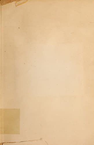 Paulo de Tarso, o maior bandeirante do evangelho